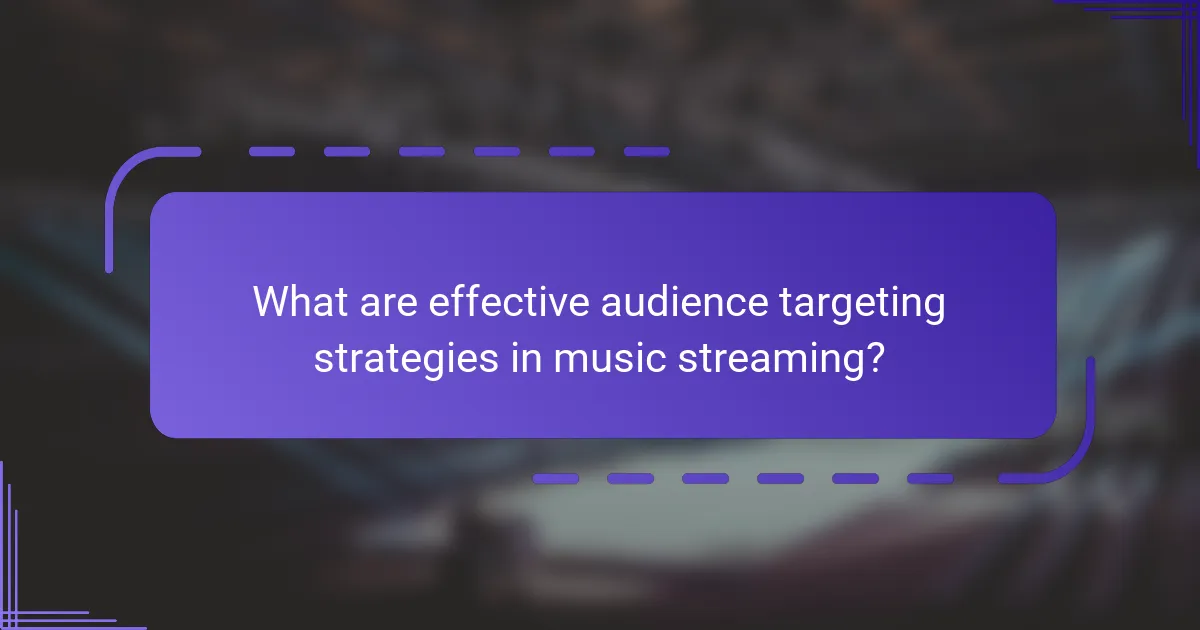 What are effective audience targeting strategies in music streaming?