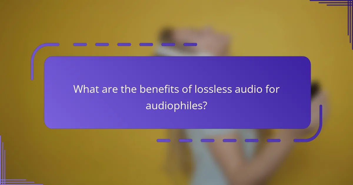 What are the benefits of lossless audio for audiophiles?